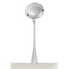 SILVER PLATED LADLE 0021005 ALBI