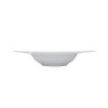 SET OF 4 COUPE PLATES, WHITE NATURE 13-3-5