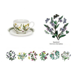 SET OF 6 TEA CUPS WITH SAUCER, BOTANIC GARDEN