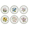 SET OF 6 DINNER PLATES 25 CM, BOTANIC GARDEN