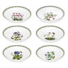 SET OF 6 SOUP PLATES 20 CM, BOTANIC GARDEN