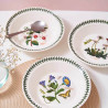 SET OF 6 SOUP PLATES 20 CM, BOTANIC GARDEN