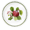 SET OF 6 DINNER PLATES 25 CM, POMONA