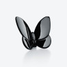 BLACK  BUTTERFLY 2813514