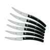 SET OF 6 STEAK KNIVES, CONVIVIO NOVO