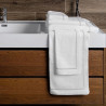 SET OF 2 HAND TOWELS, JESOLO SPUGNA