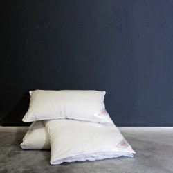 NIGHT PILLOW, 50x80 cm, 600 gr