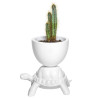 XS TURTLE CARRY PLANTER, WHITE CERAMIC