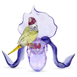DIAMANTE DI GOULD E...