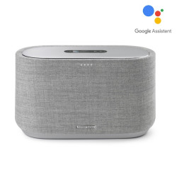 SMART SPEAKER GREY HKCITATION 300GR