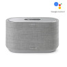 SMART SPEAKER GREY HKCITATION 300GR